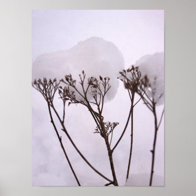 L'hiver, Plantes dans la neige Poster de la valeur (Devant)