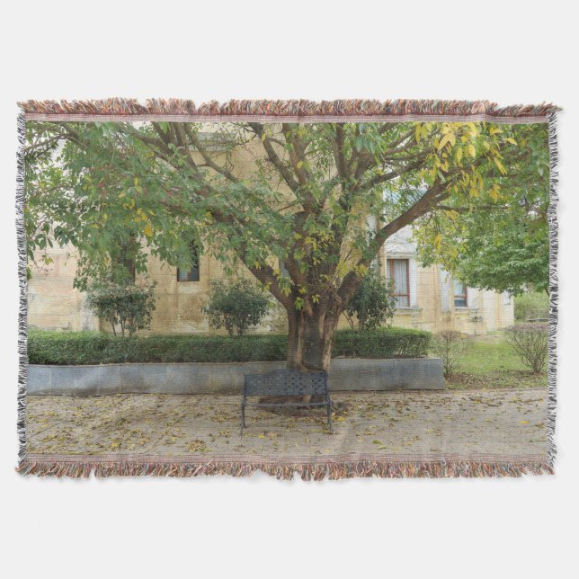 Li Garden Series: Echoes Beneath the Tree Decke (Vorderseite)