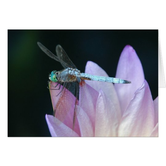 Libelle 1 karte
