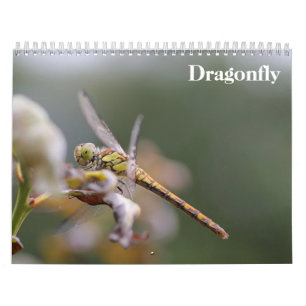 Libelle 2027 kalender