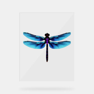 Libelle Acrylschild