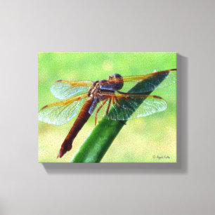 Libelle auf Aloepflanze umwickelte Leinwand