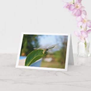 Libelle auf grünem Blatt Karte