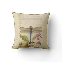 Libelle, Birne, Gartennelke und Insekt antikes