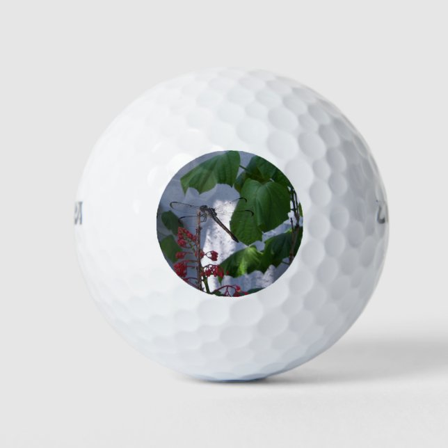 Libelle Golfball (Vorderseite)
