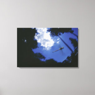 Libelle im Flug, Flügel flatternd Leinwanddruck