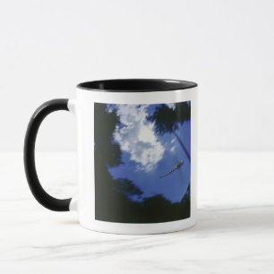 Libelle im Flug, Flügel flatternd Tasse