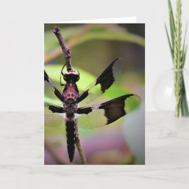 Libelle, Karte