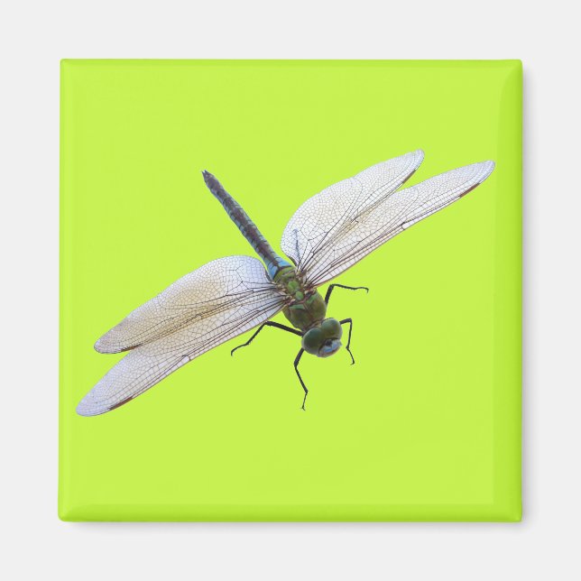 Libelle Magnet (Vorne)