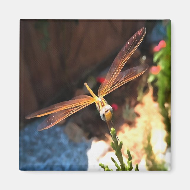 Libelle mit goldgelben Flügeln Magnet (Vorne)