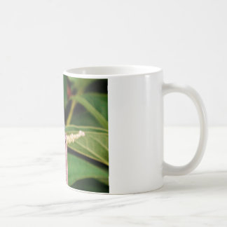 Libelle mit weißen Blume Kaffeetasse