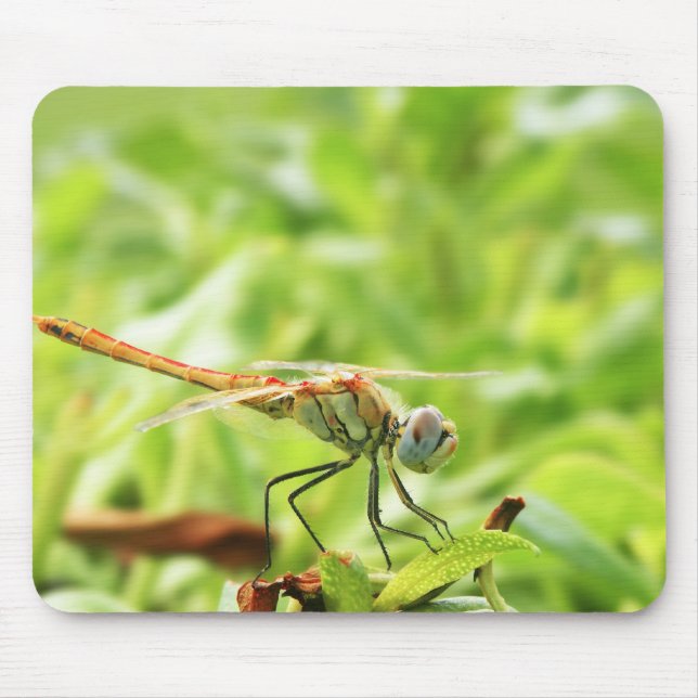 Libelle Mousepad (Vorne)