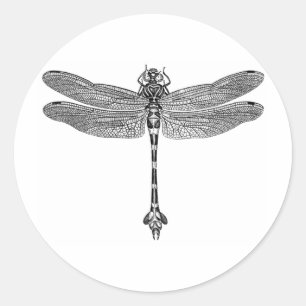 Libelle Runder Aufkleber