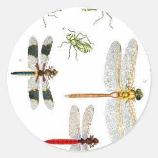 Libelle Runder Aufkleber