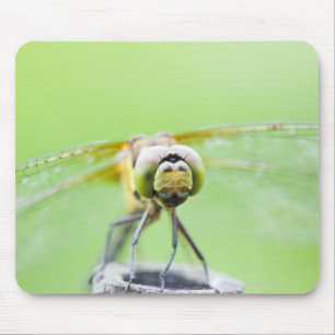 Libelle (Sympetrum infuscatum) Mousepad