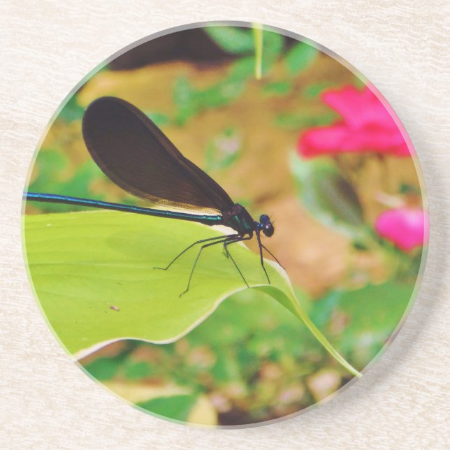 Libelle und Rose Untersetzer (Vorne)