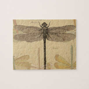 Libelle Vintage Antik Klassik Natur