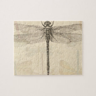 Libelle Vintage Antik Klassik Natur