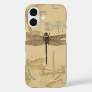 Libelle Vintage Antik Klassik Natur title_seo2