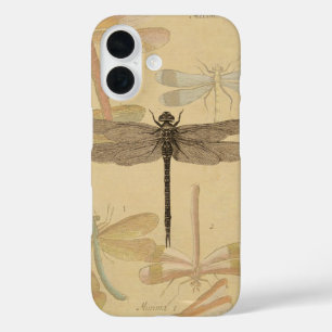 Libelle Vintage Antik Klassik Natur title_seo2
