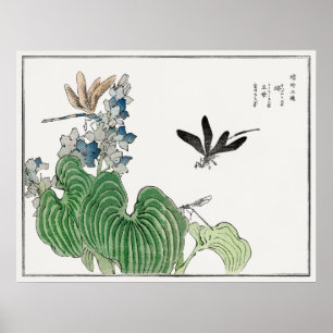 Libellen auf einem Wasser-Hyazinth von Morimoto To Poster