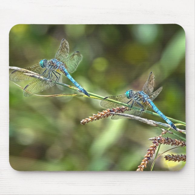 Libellen auf Niederlassung Mousepad (Vorne)