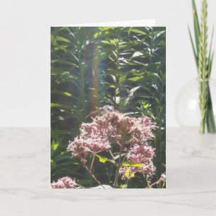 Libellen-Beileidskarte Karte