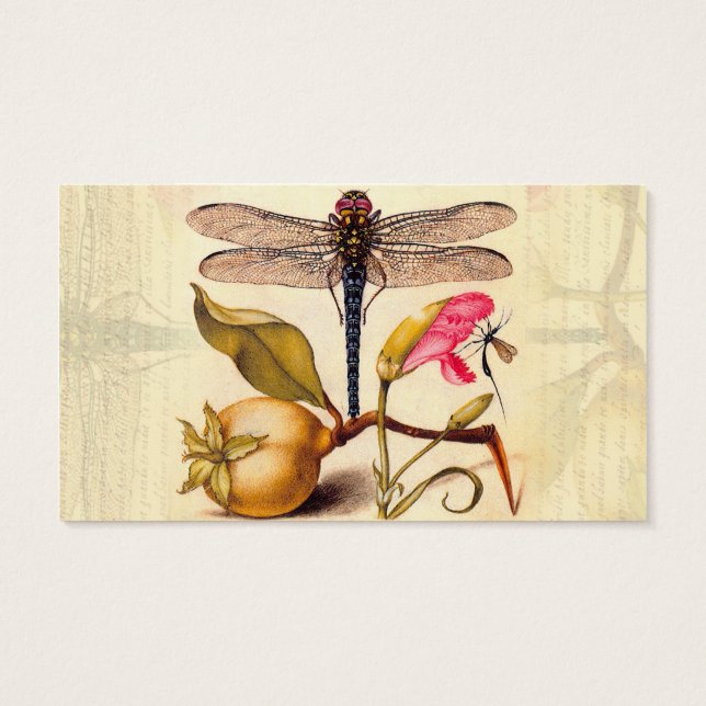 Libellen-Botanische-Natur-Wildlife-Hoefnagel-Kunst (Rückseite)