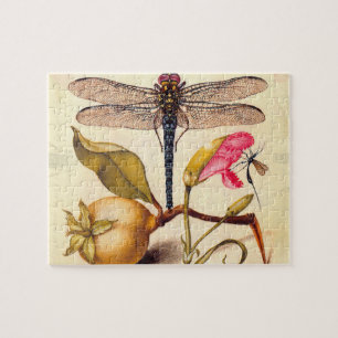 Libellen-Botanische-Natur-Wildlife-Hoefnagel-Kunst