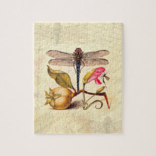 Libellen-Botanische-Natur-Wildlife-Hoefnagel-Kunst