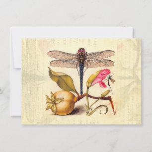 Libellen-Botanische-Natur-Wildlife-Hoefnagel-Kunst Einladung
