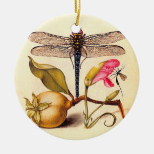 Libellen-Botanische-Natur-Wildlife-Hoefnagel-Kunst Keramikornament