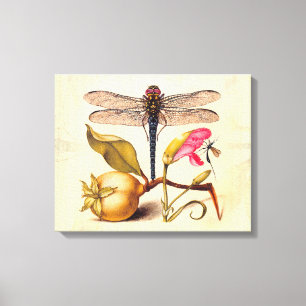 Libellen-Botanische-Natur-Wildlife-Hoefnagel-Kunst Leinwanddruck