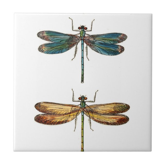 Libellen-Duo-Keramiken Fliese (Vorderseite)