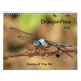 Libellen - Edelsteine des Kalenders der Luft-2013 Kalender