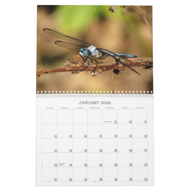 Libellen - Edelsteine des Kalenders der Luft-2013 Kalender (Jan 2026)