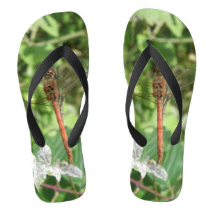 Libellen Flip Flops der Gemeinen Heidelibelle