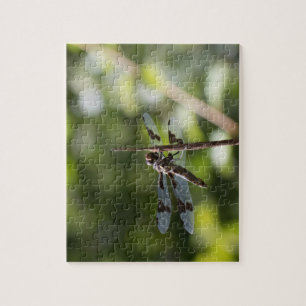 Libellen-Fotografie-Puzzlespiel