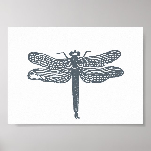 Libellen Grau Druck Poster (Vorne)
