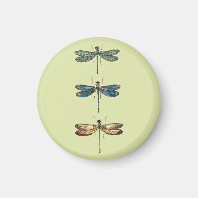 Libellen-Illustrationen Magnet (Vorne)