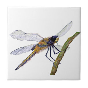 Libellen-Insekten-handgemalte Aquarell-Grafik Fliese