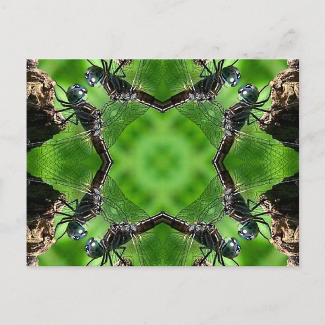 Libellen-Kaleidoskop-Kunst-Natur-Postkarte Postkarte (Vorderseite)