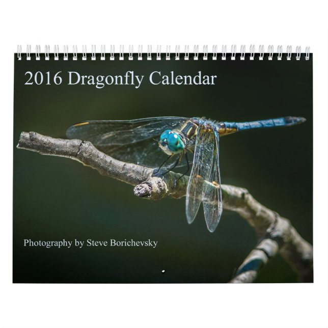 Libellen-Kalender 2016 durch Steve Borichevsky Kalender (Titelbild)