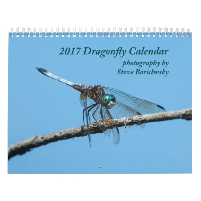 Libellen-Kalender 2017 Kalender (Titelbild)