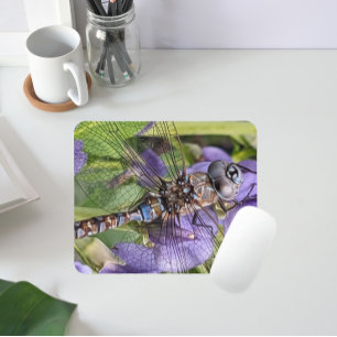 Libellen-Libelle mit blauen Augen auf einer Blume Mousepad