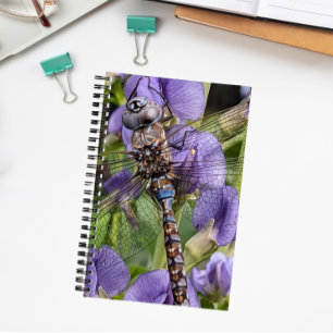 Libellen-Libelle mit blauen Augen auf einer Blume Notizbuch