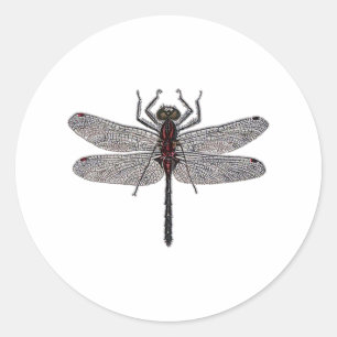 Libellen-Logo (Farbe) Runder Aufkleber