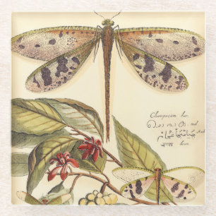 Libellen mit Blätter und Frucht Glasuntersetzer