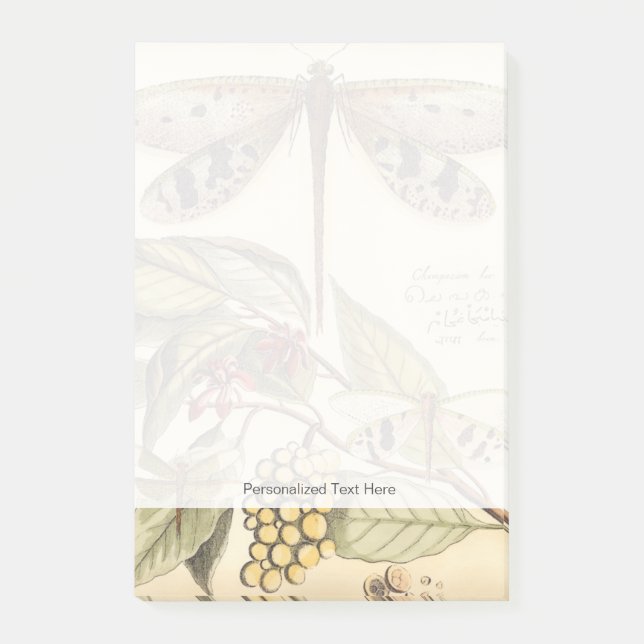 Libellen mit Blätter und Obst Post-it Klebezettel (Vorderseite)