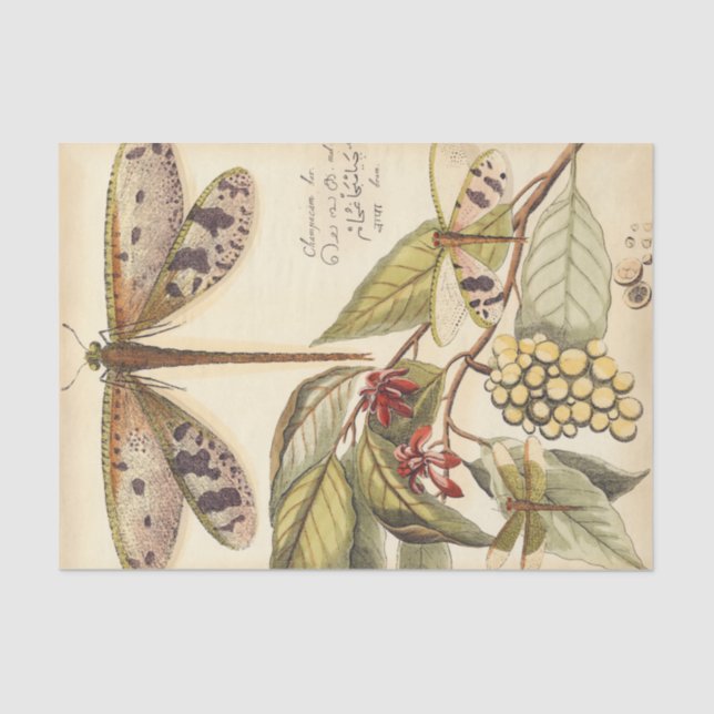 Libellen mit Blätter und Obst Seidenpapier (Vorderseite)